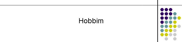 Hobbim